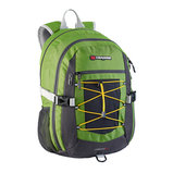 Cisco 30 Envy Green